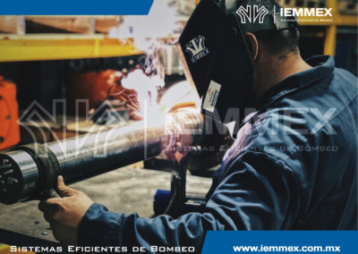 Galeria Iemmex 1