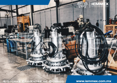 Galeria Iemmex 12