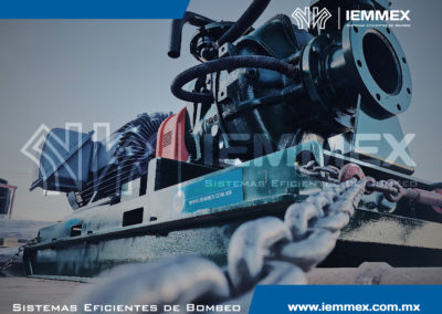 Galeria Iemmex 13