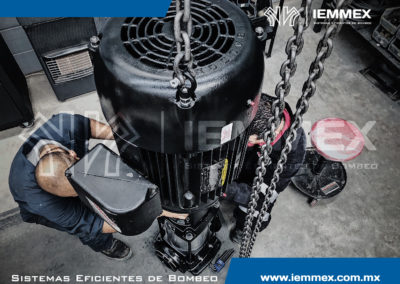 Galeria Iemmex 14
