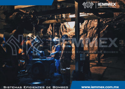 Galeria Iemmex 16