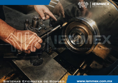 Galeria Iemmex 17