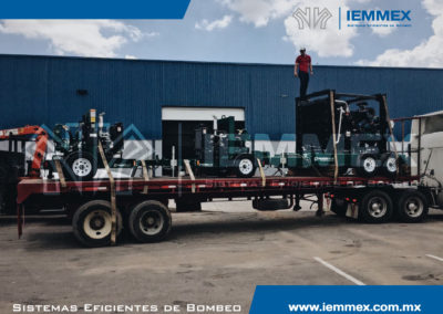Galeria Iemmex 19