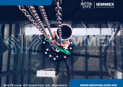 Galeria Iemmex 20